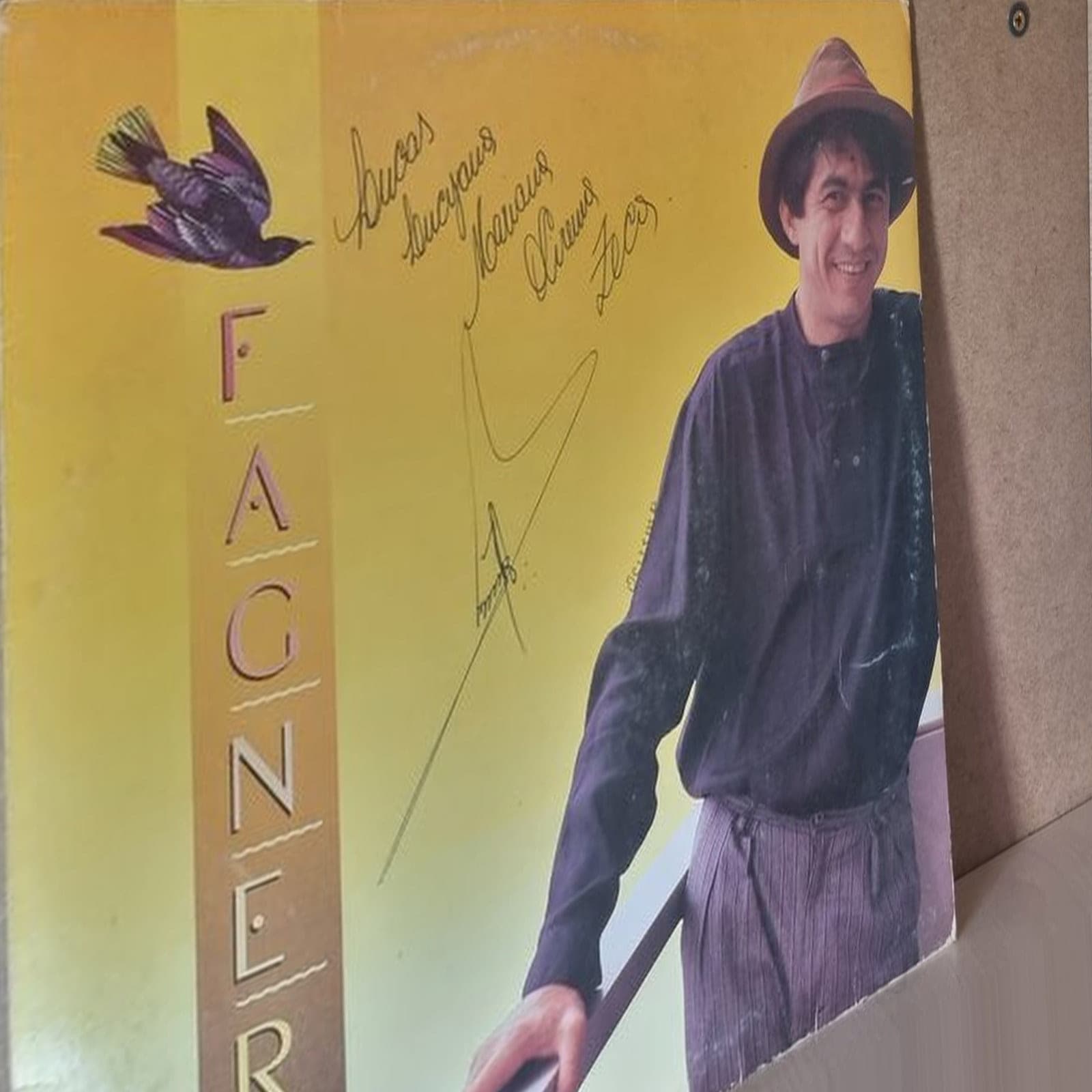 Capa de Raimundo Fagner — Fagner (Amor Escondido)